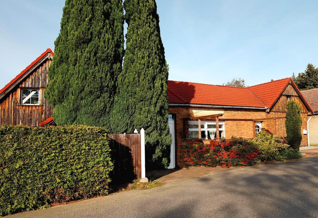 Auszeit Wohnung Hof Narla Bahnsdorf Eksteriør bilde